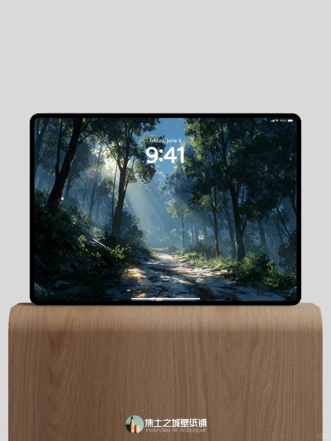 壁纸 | 阳光洒满静谧的森林