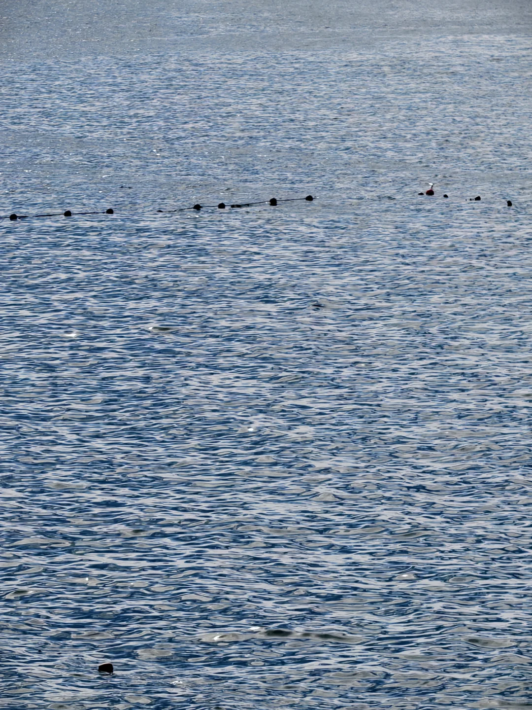 广东的冬天真的很适合去海边！
