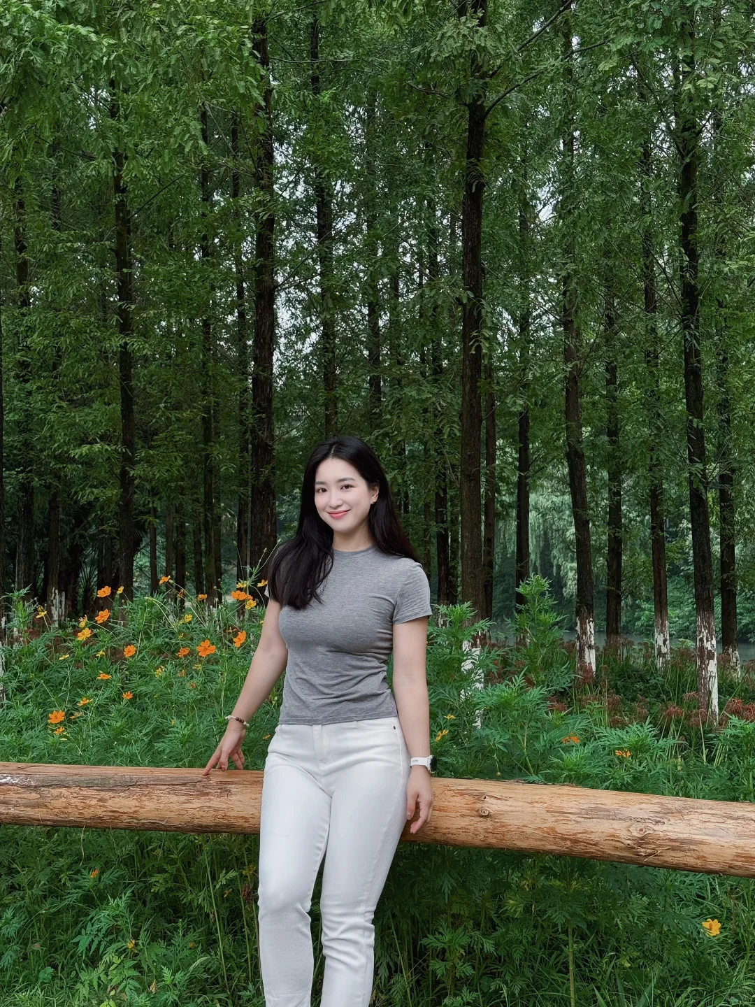 路过一片水杉林