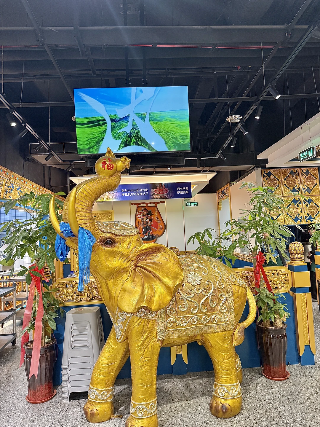 郑州真正的仙品！！！！！！！！！