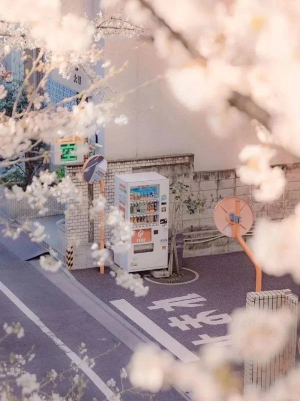 很有感觉的日系壁纸