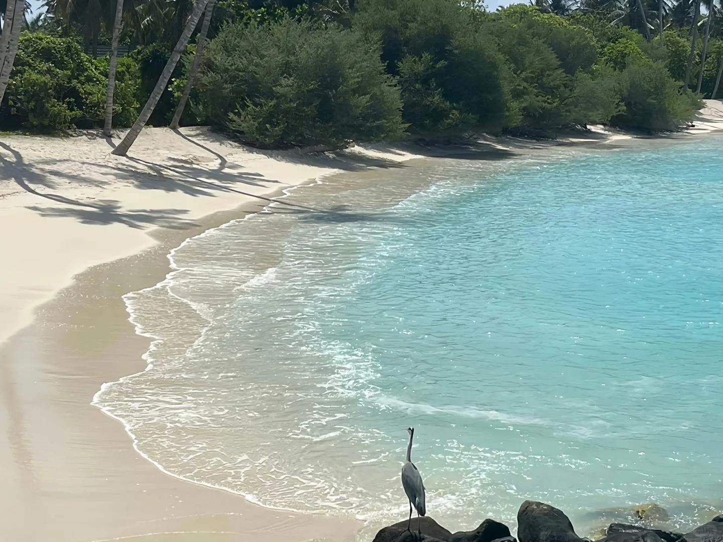 Share|治愈系iPad氛围感壁纸