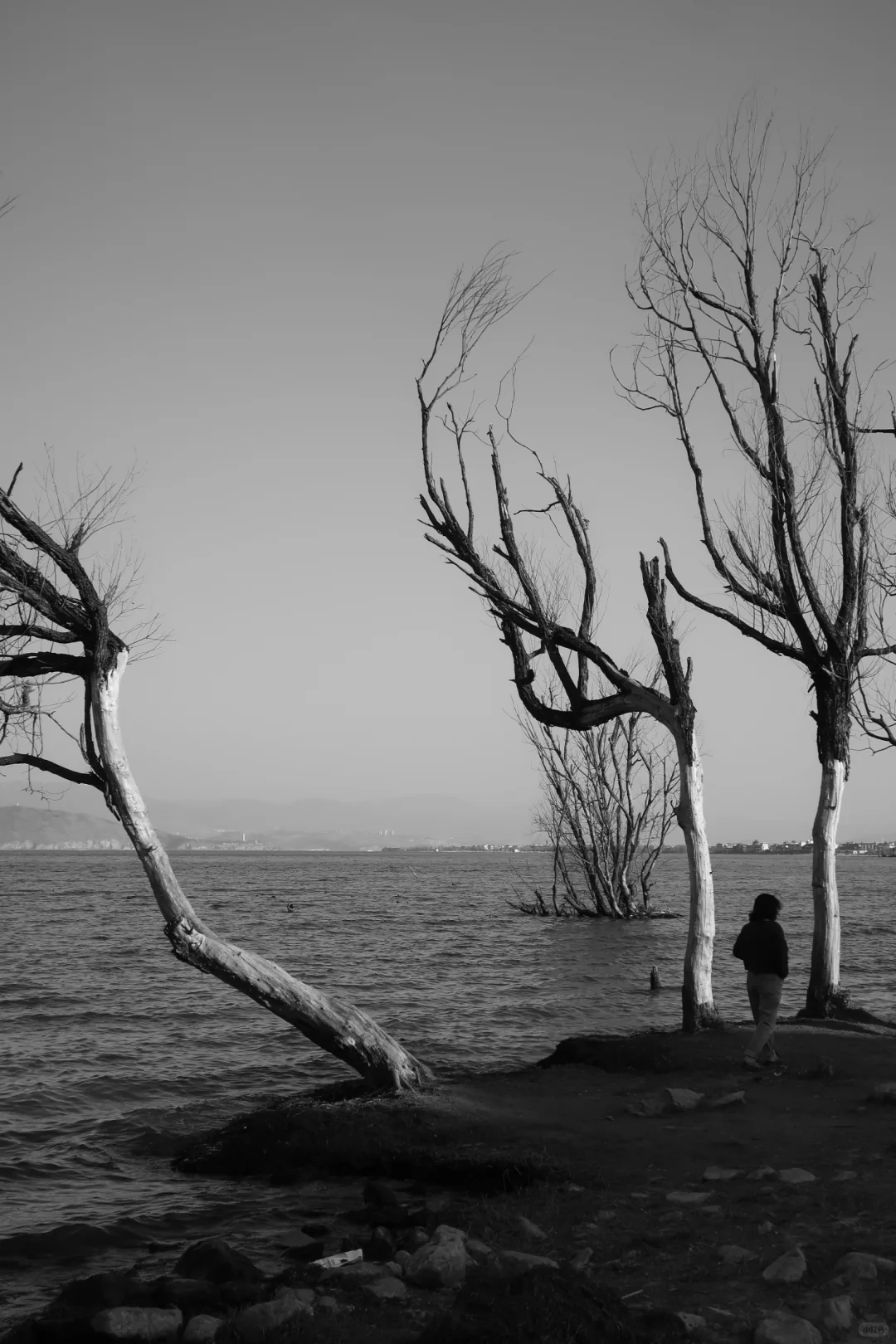 征集50位女性拍摄｜与自然共呼吸