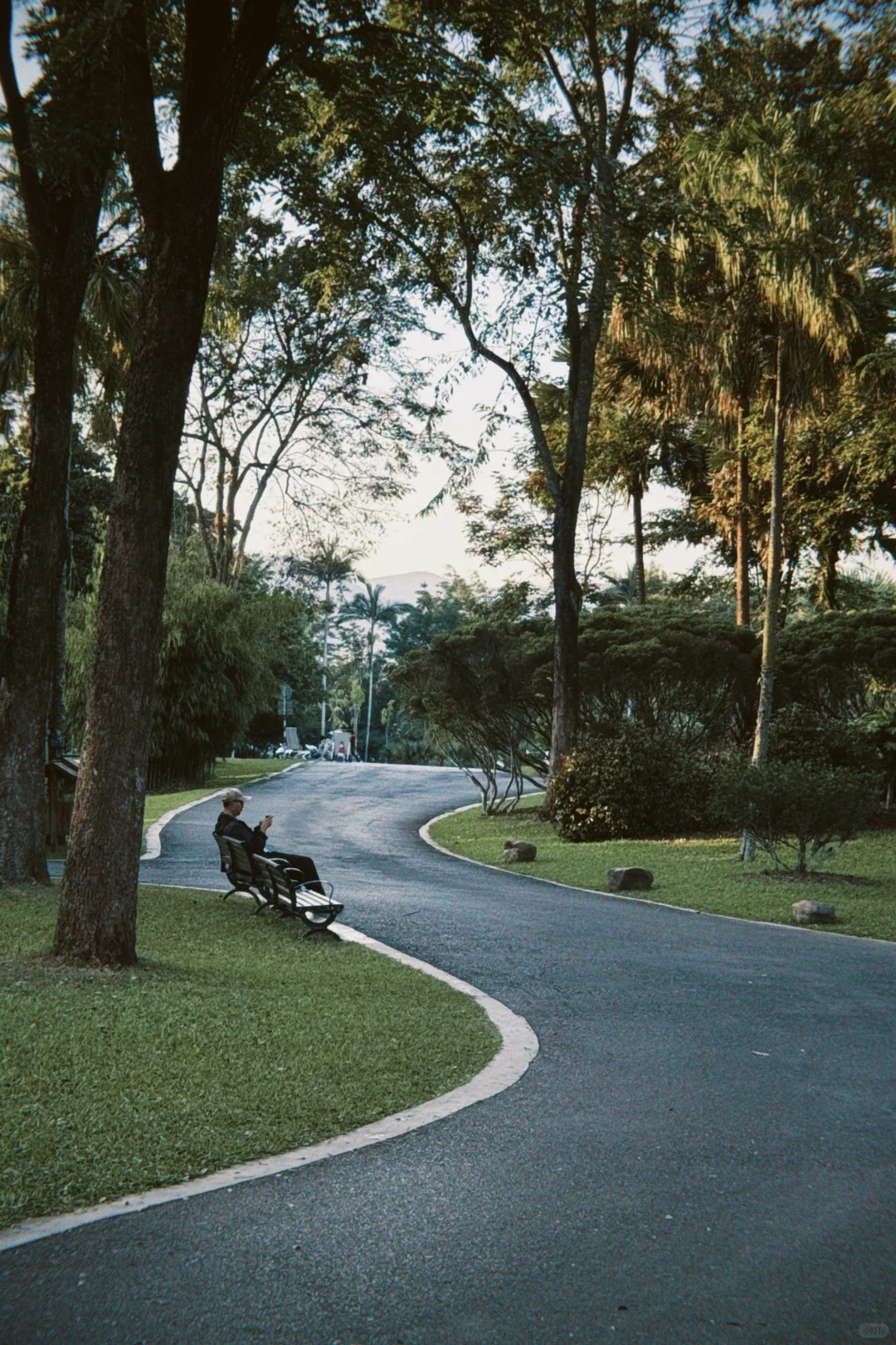 西双版纳这几天~这很infj