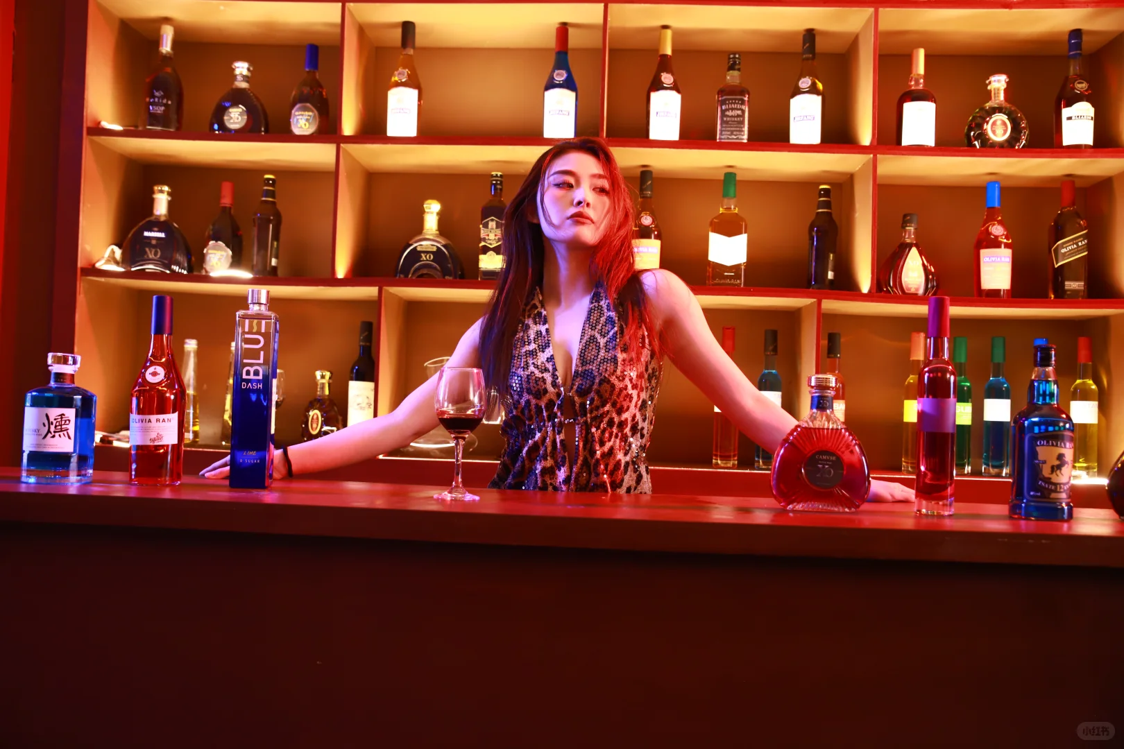 佳人醉了风情万种野玫瑰