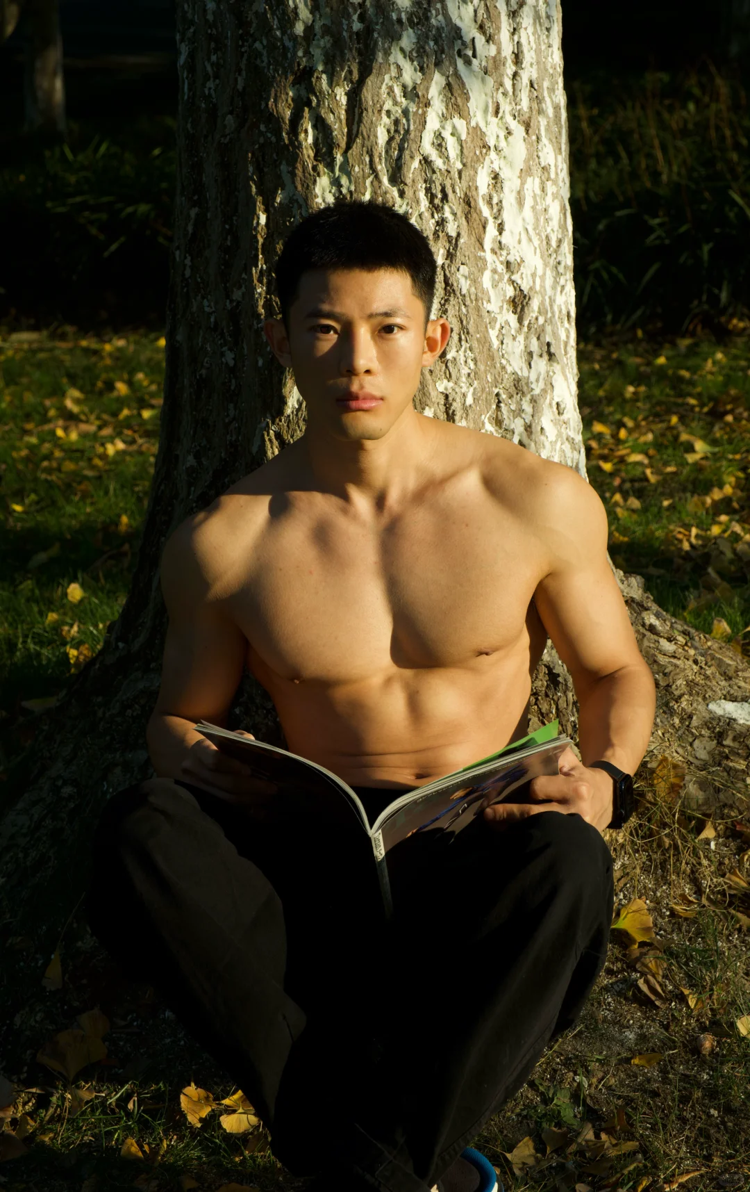 高能量自然法则，亲近大自然