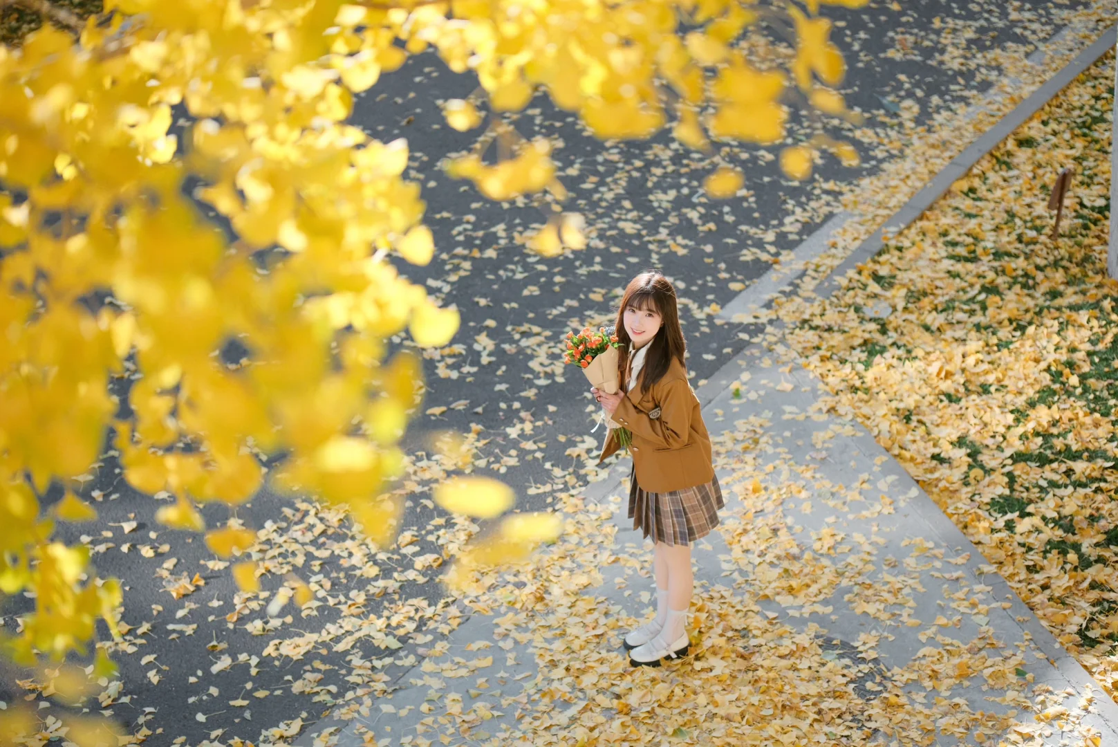 要和我一起走秋天的街吗？🍂