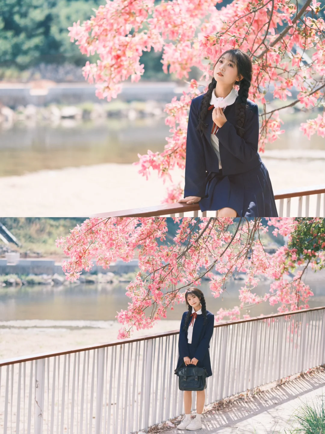 深圳观澜异木棉花海🌸jk制服少女写真