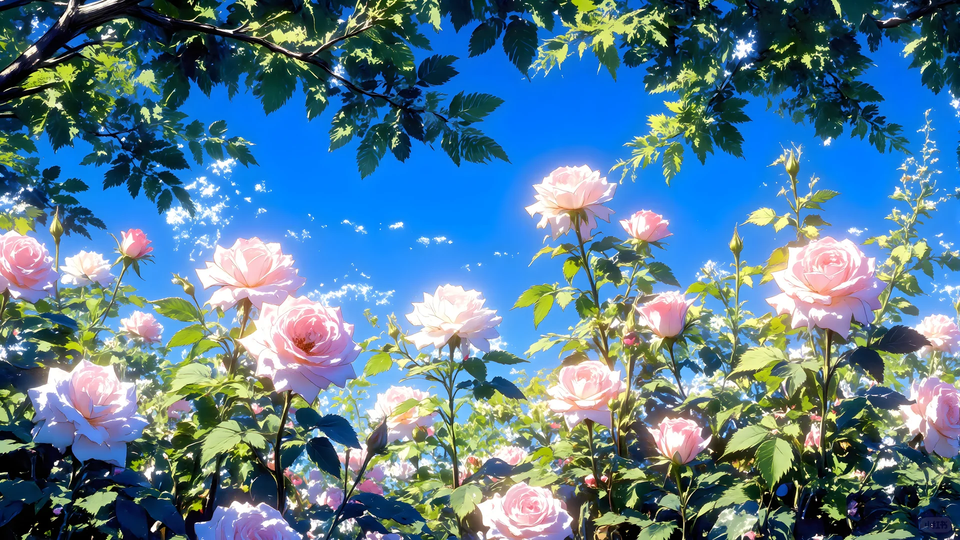 电脑壁纸 治愈篇-239【4k超清】