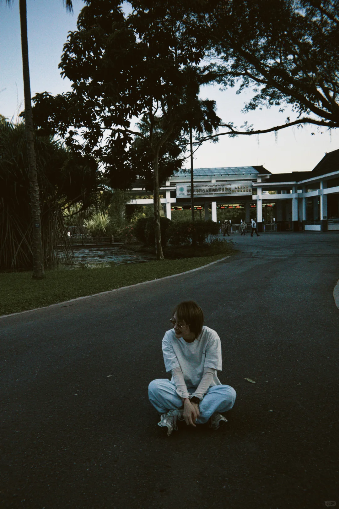 西双版纳这几天~这很infj