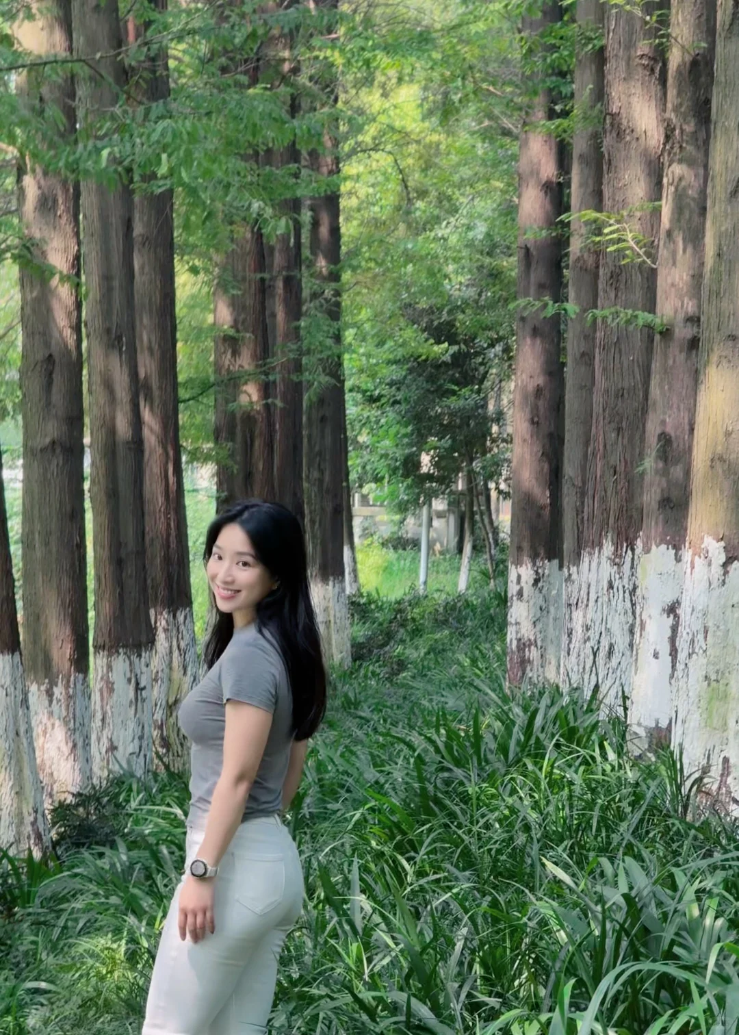 路过一片水杉林