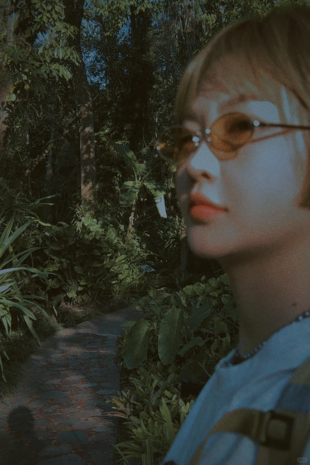 西双版纳这几天~这很infj