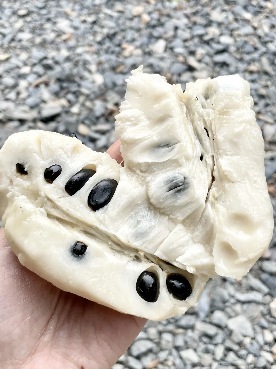 原来释迦果没有被普及是有原因的...