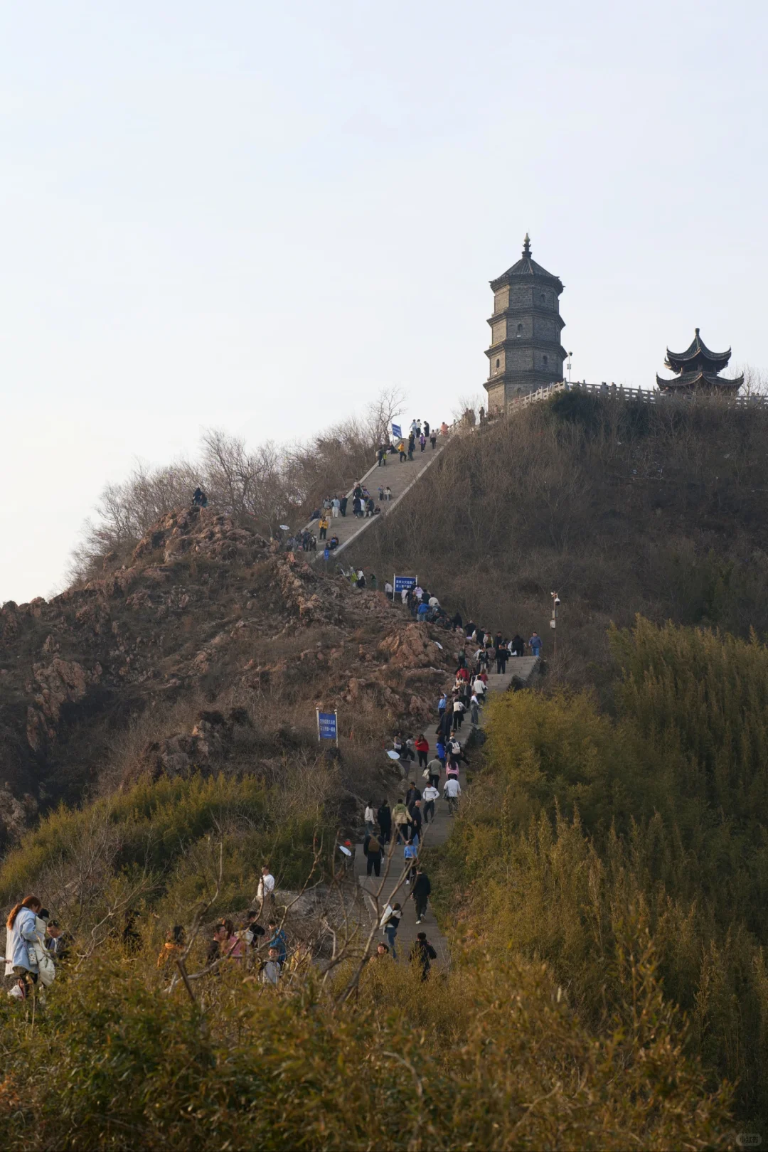 48岁|与其死磕少女感 不如活成野生的风
