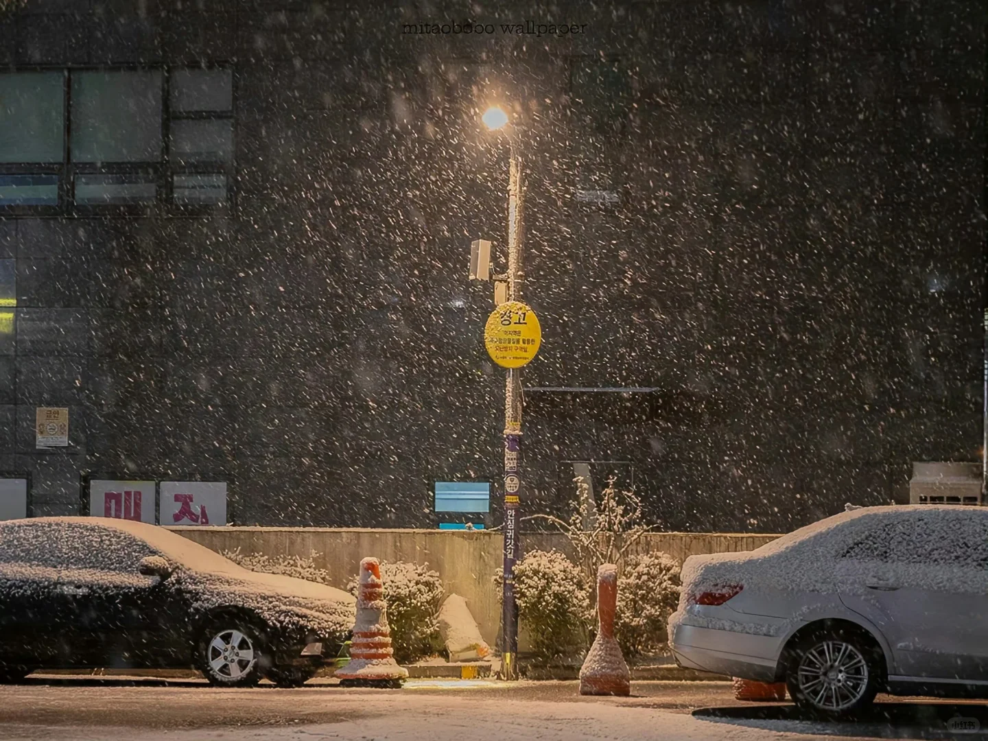 Share|治愈系iPad氛围感壁纸