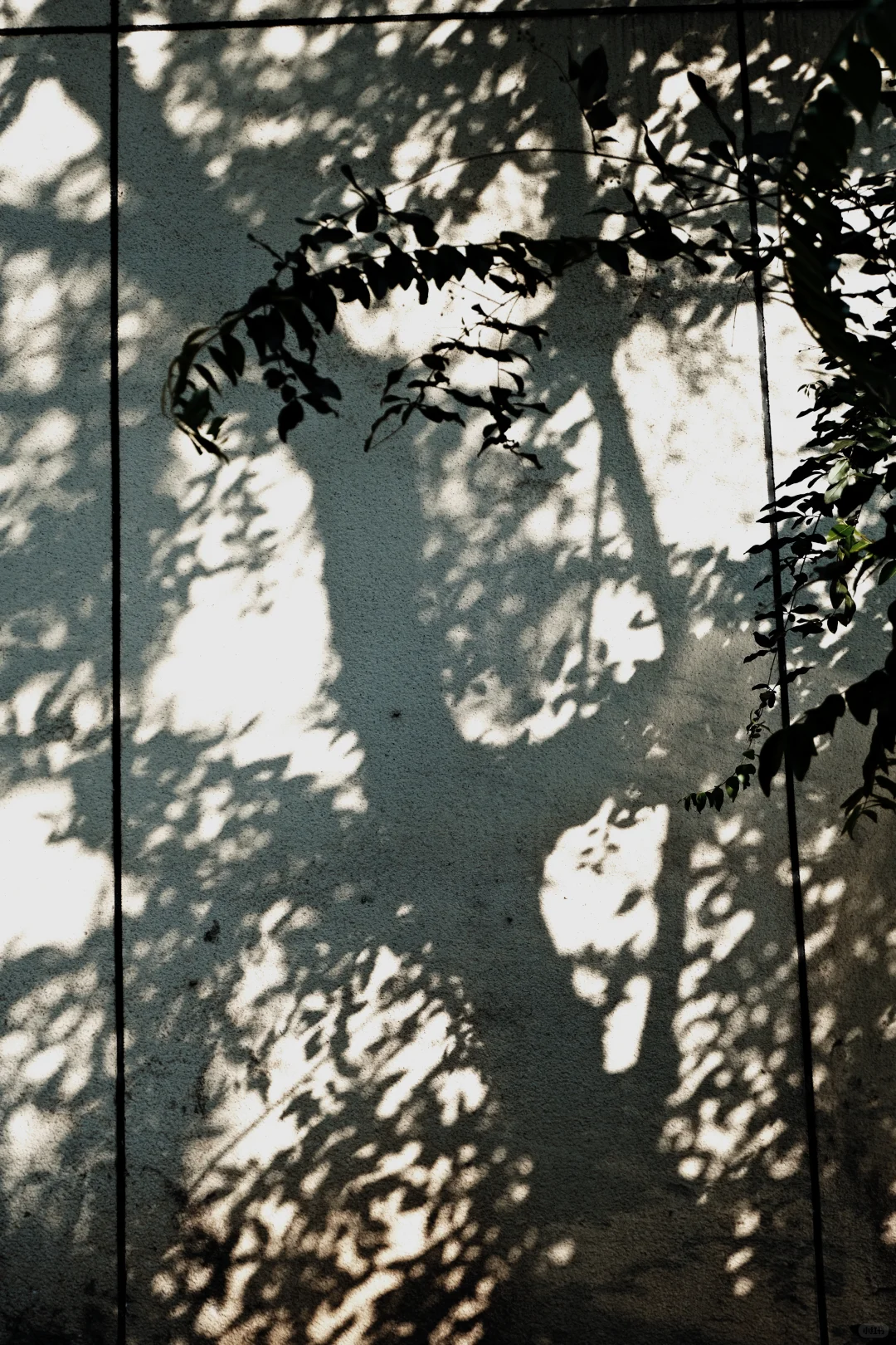 武汉｜水森执物