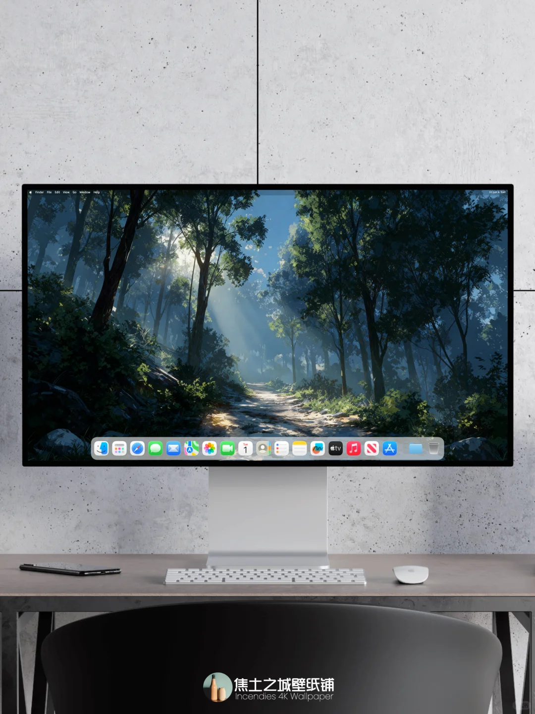 壁纸 | 阳光洒满静谧的森林