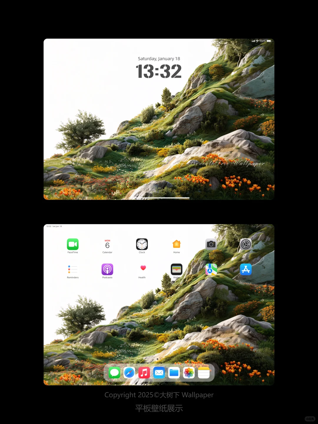 “贫瘠山谷肆意绽放的花” | 平板壁纸
