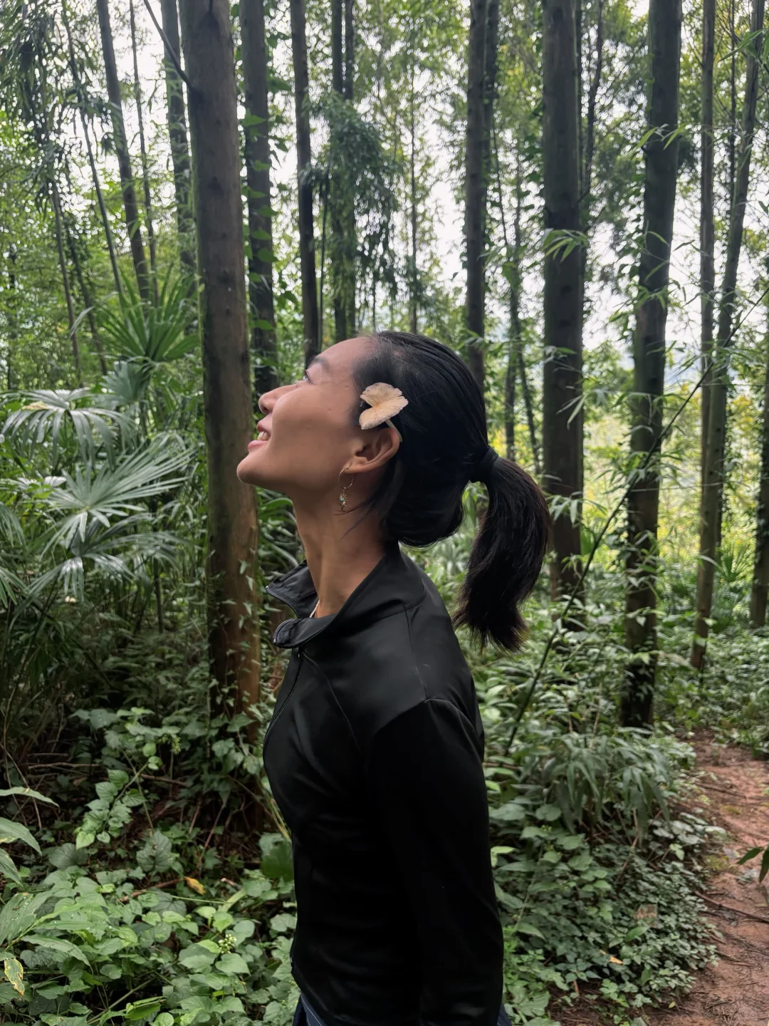 变成平静的人，这一课要爬很多座山