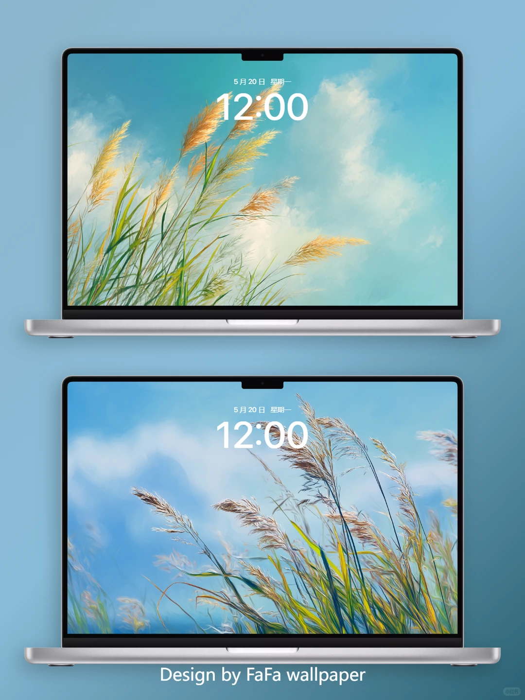 钻进云里的苇丛意境壁纸|F194-2|风摇穗上光