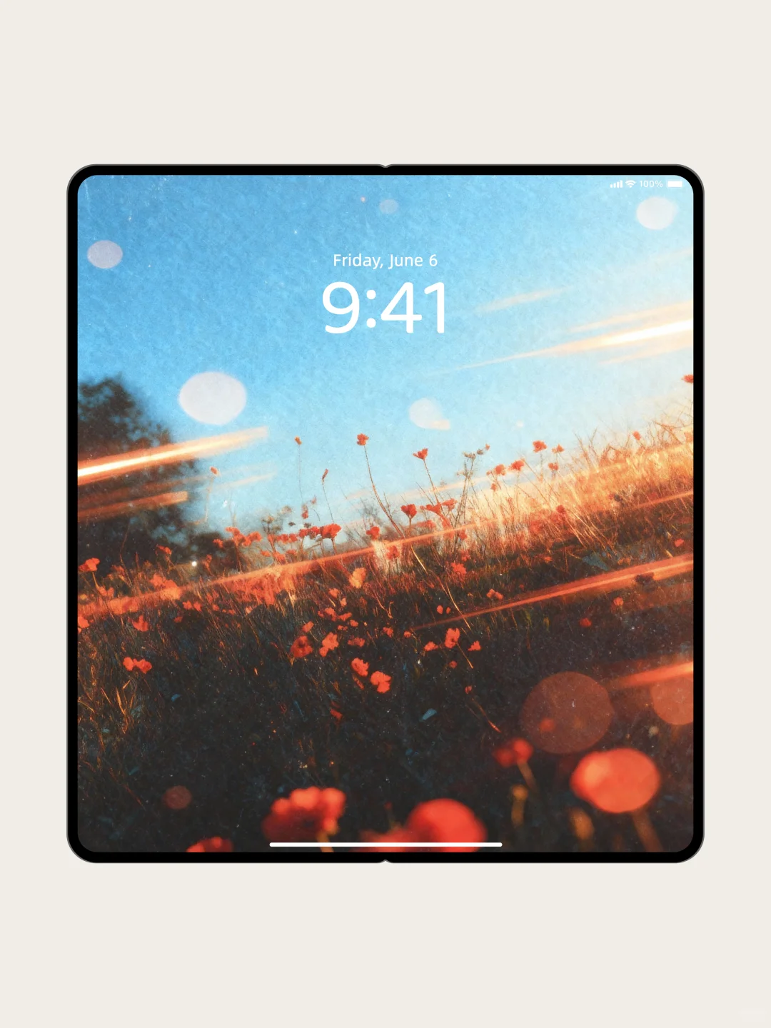 壁纸 | 在余晖的滤镜里绽放