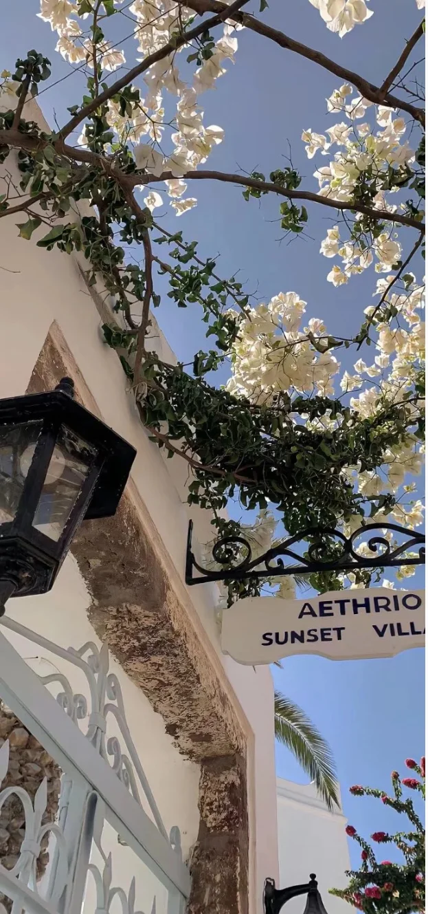 当光从窗外涌进，瞬间被治愈！