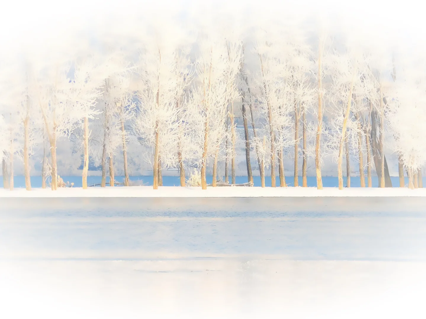 冬日序曲∙氛围感壁纸