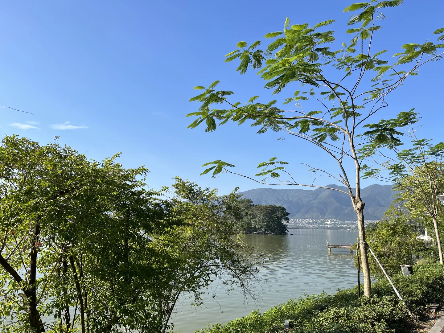 绝了❗️暴走爬山一整天都不卡裆的瑜伽裤❗️