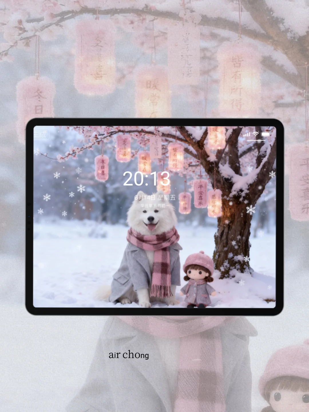 平板壁纸 | 萨摩耶这个冬天也是不冷了