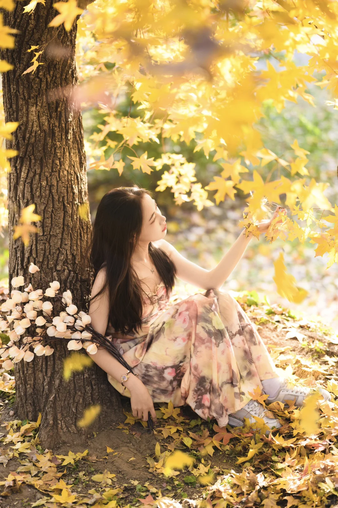 北京丨我又来找互勉模特搭子啦！