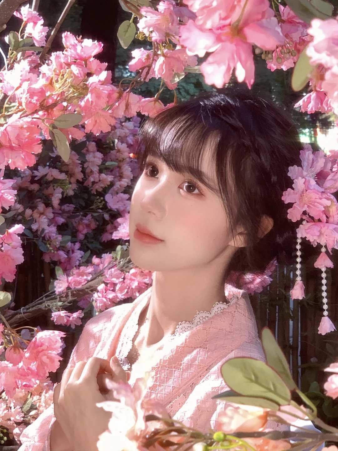 不用去大理！成都也能拍樱花🌸写真