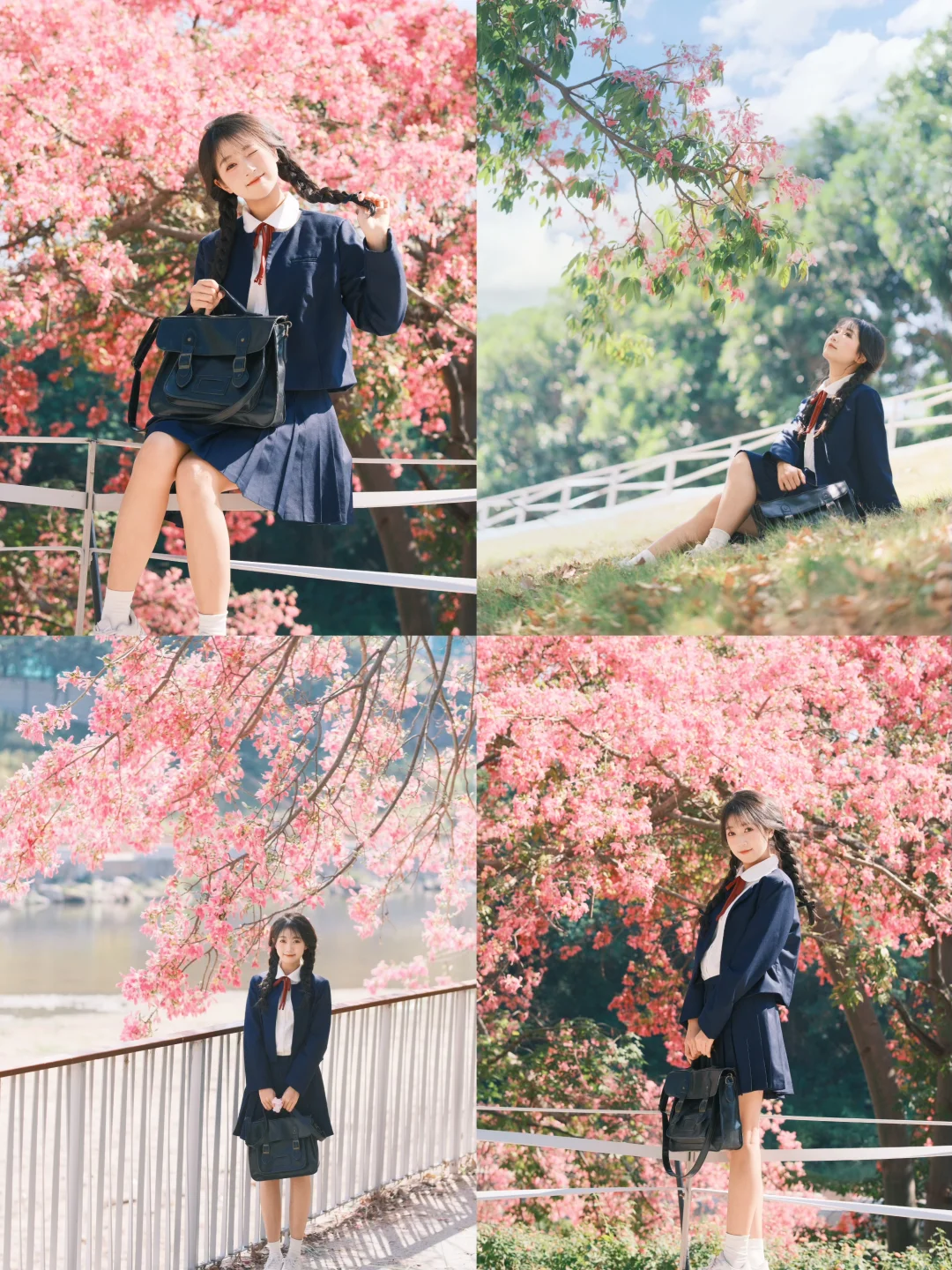 深圳观澜异木棉花海🌸jk制服少女写真
