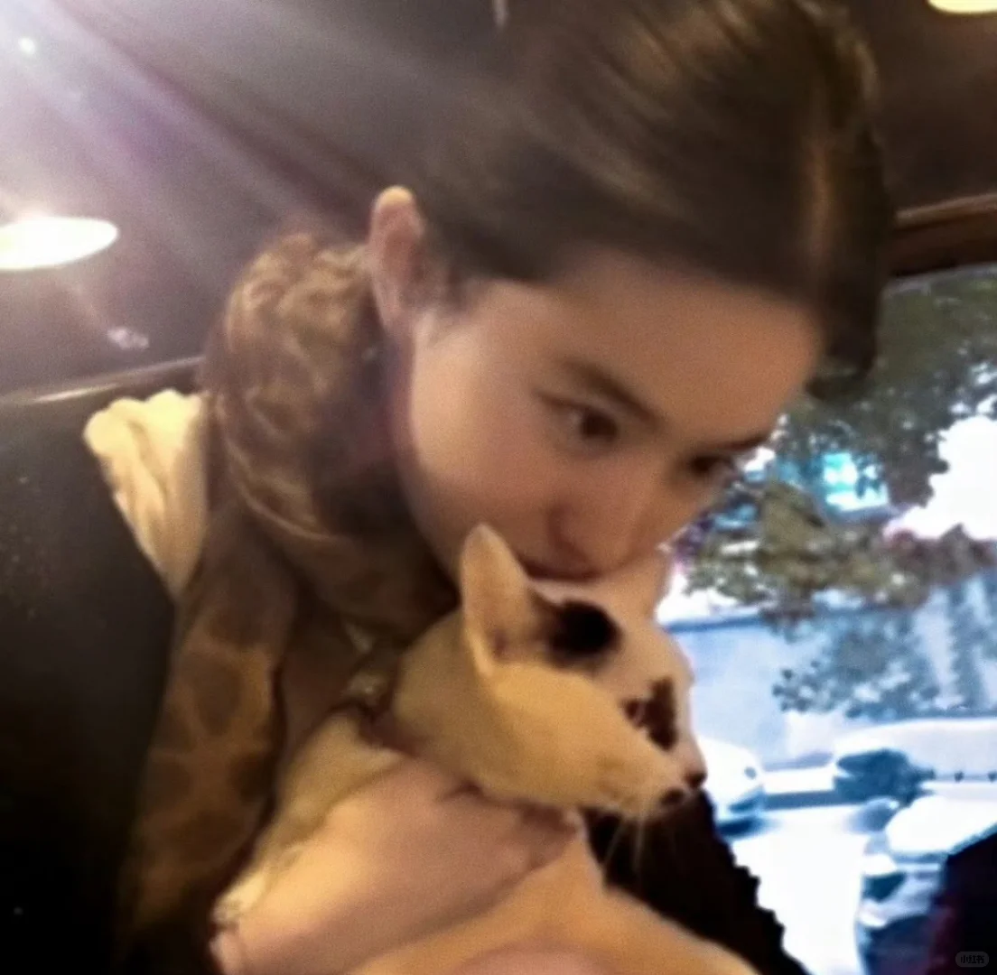 谁能拒绝点开这张图片呢