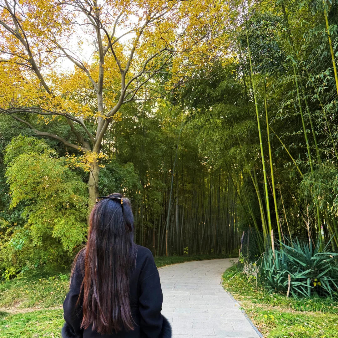 姐感是一种什么感觉