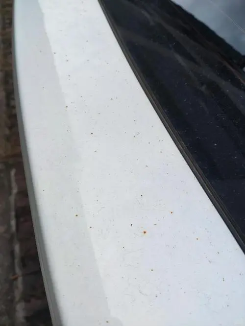 普及一下知识 欢迎咨询汽车美容抛光