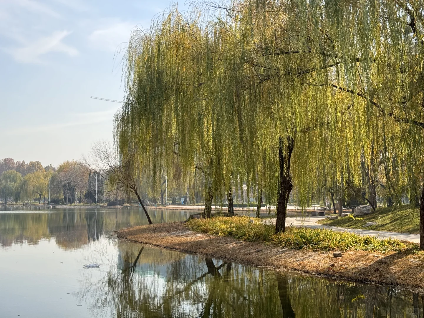 172/140斤大码女孩👧🏻