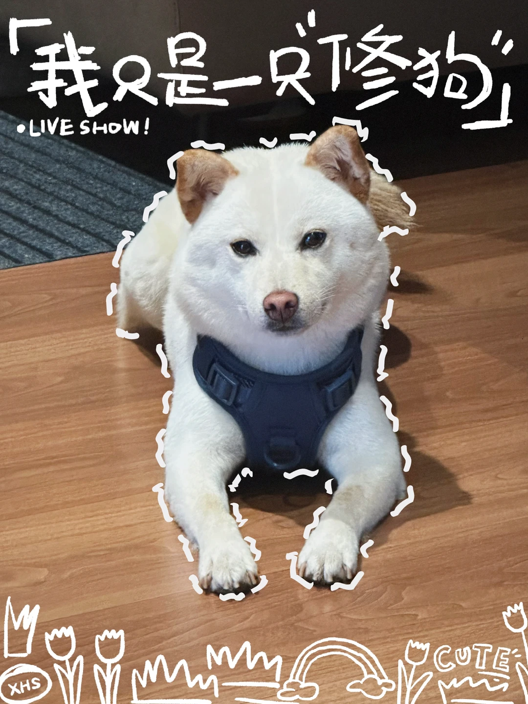 它好像在对着我抛媚眼哦