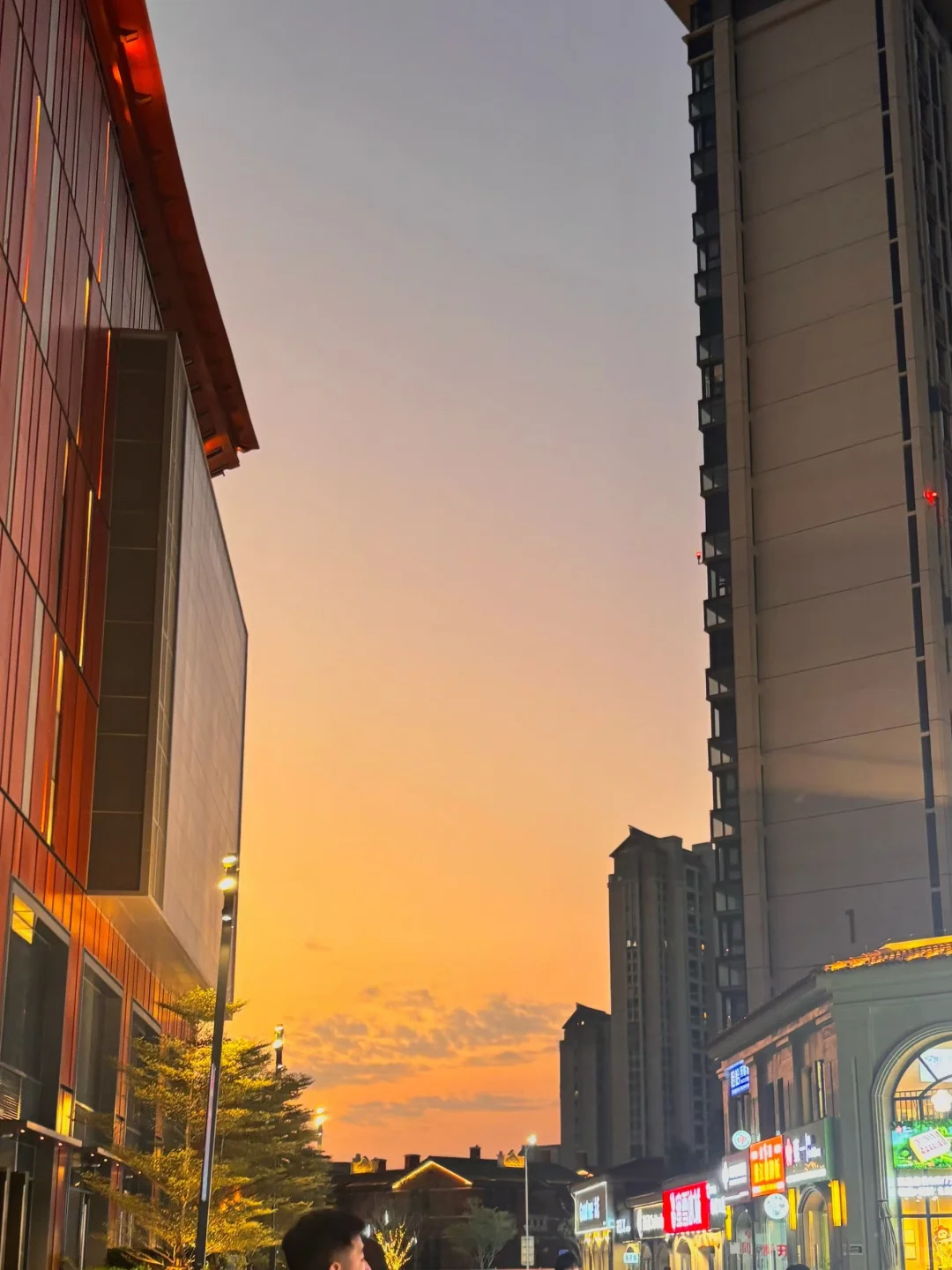 ⌚️紫赶紧找个雕把自己嘴封住