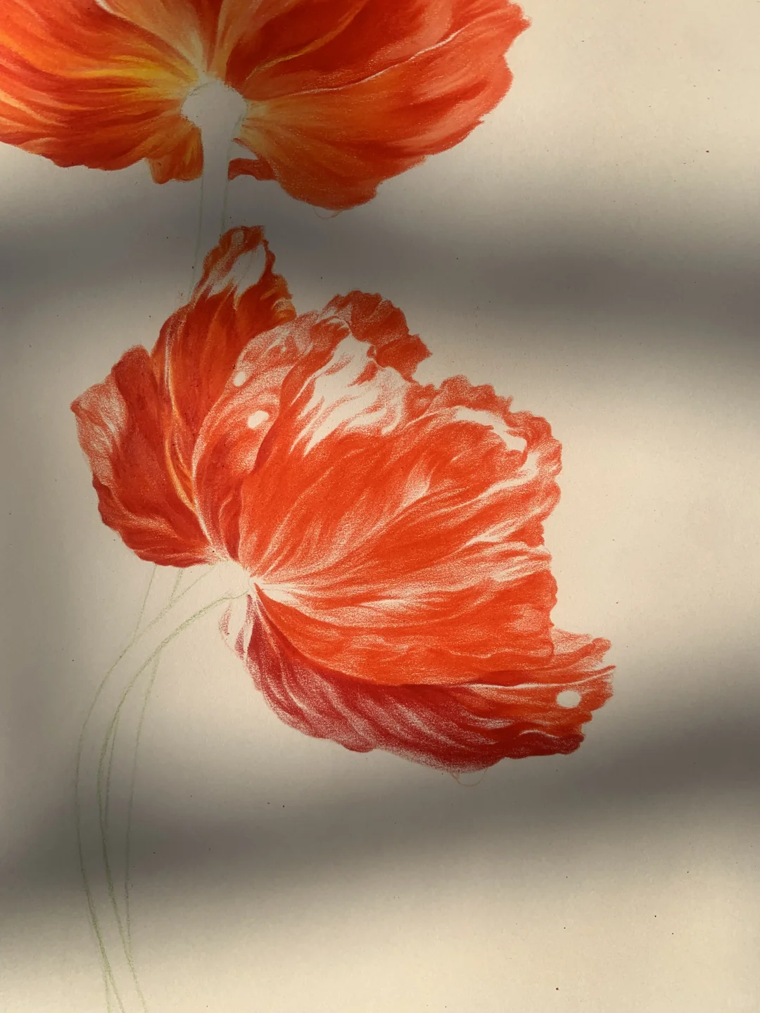 完成✅这次认真记录了画的步骤