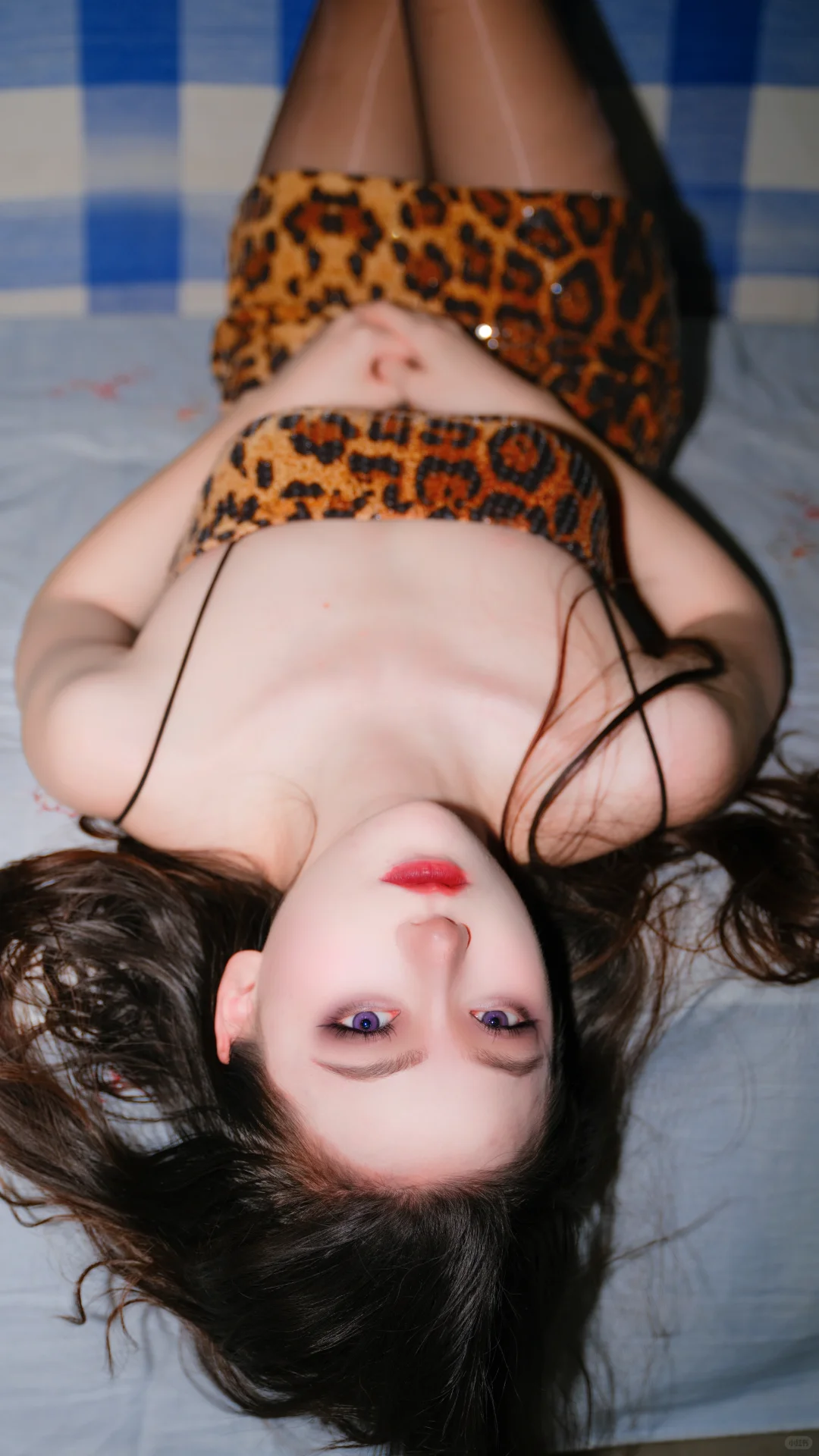 房子是出租的🌹但爱情不是