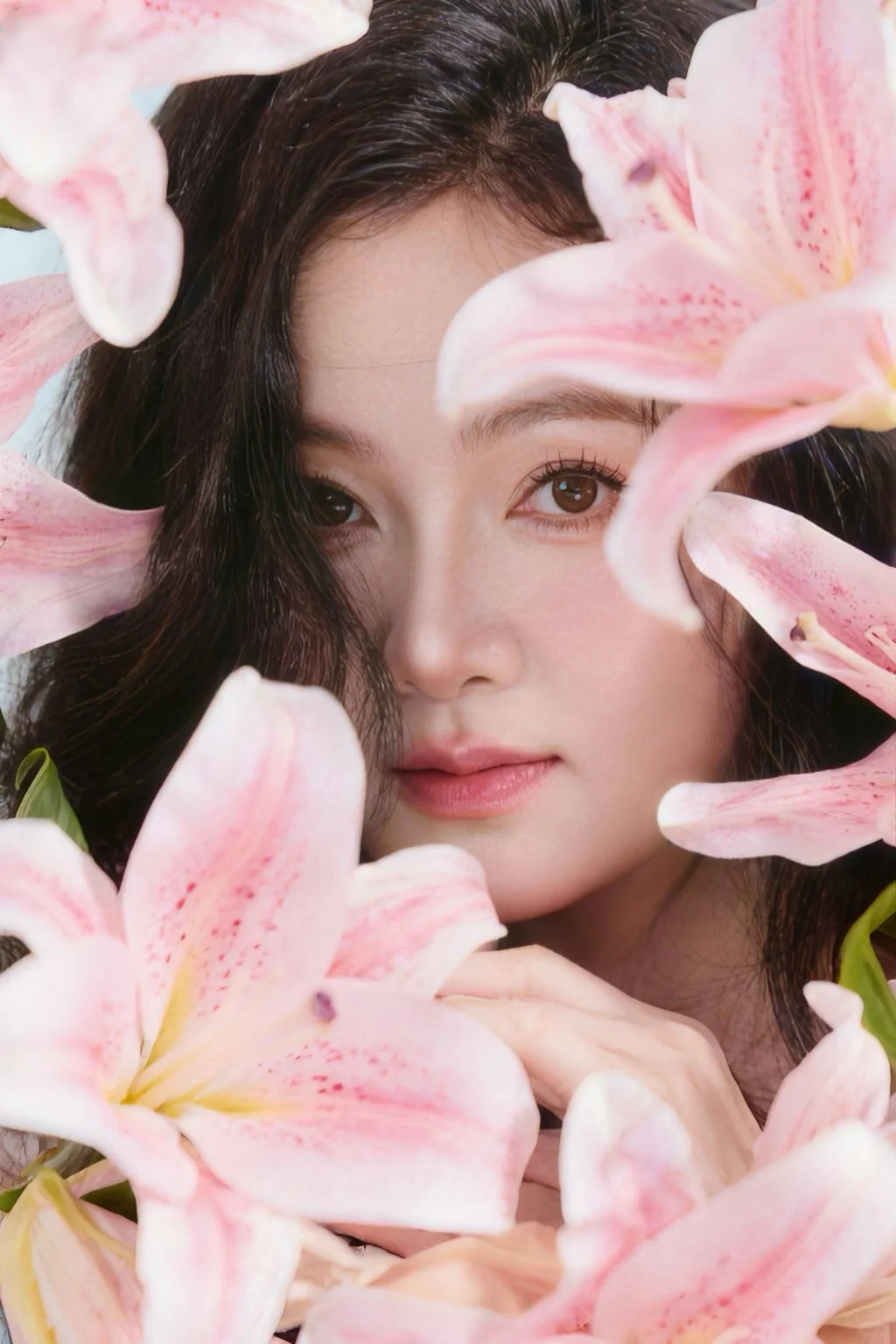 娇艳小百合 这组好适合做头像