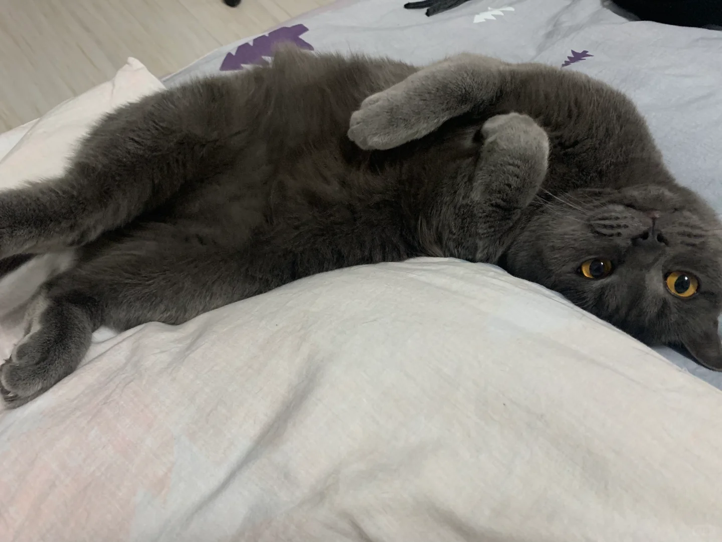 抛媚眼？卖萌？