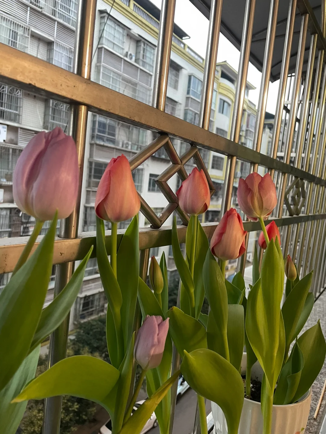 该怎么去形容你的美