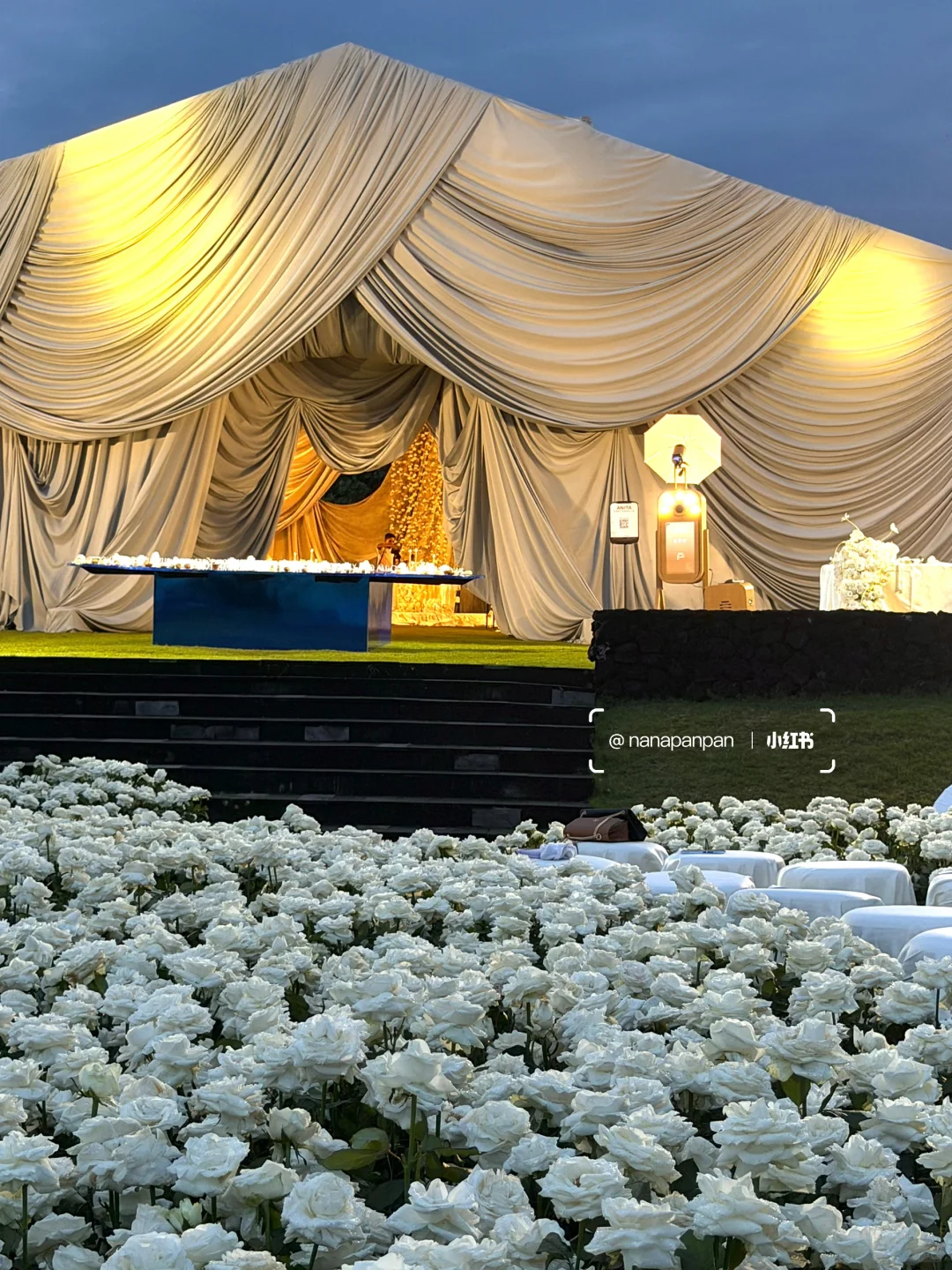 3万6千支白玫瑰绽放在巴厘岛soori的海边