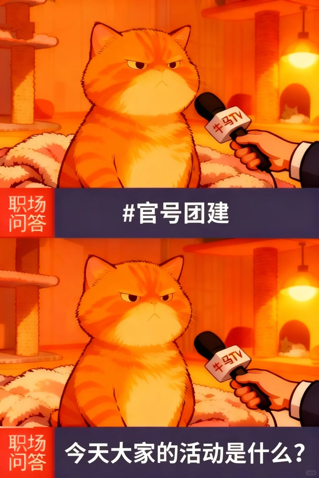 这届官号团建，让我直呼：牛掰！