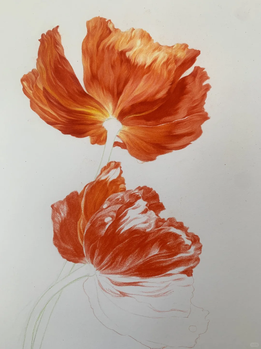 完成✅这次认真记录了画的步骤