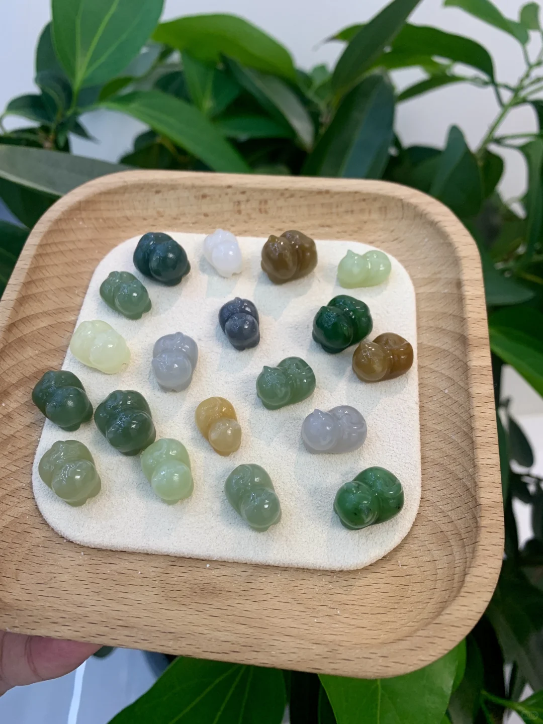 一波可爱的趴趴猫们来袭～