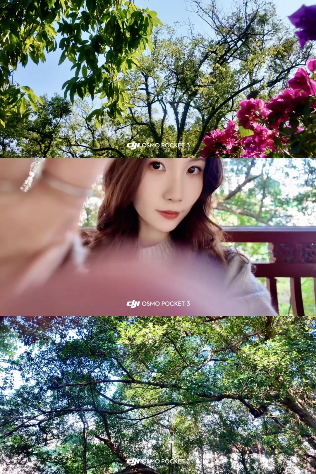 大疆pocket3📹拍出清透富士感🫧！（附参数♡.
