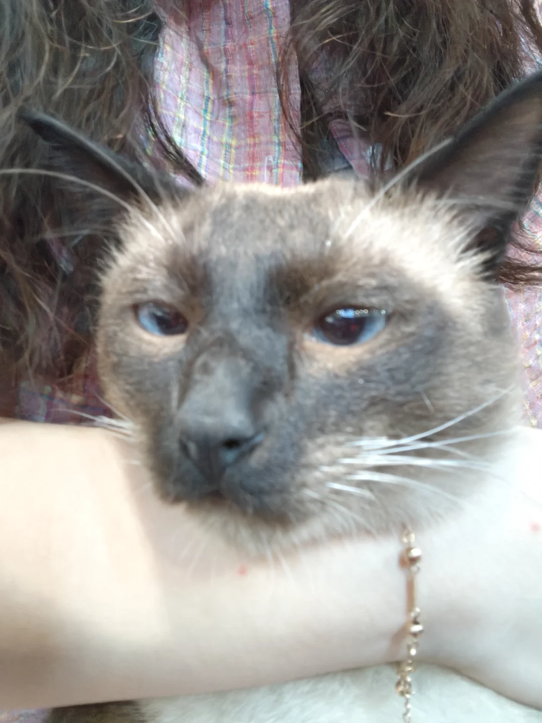 😍😍😍😍😍😍