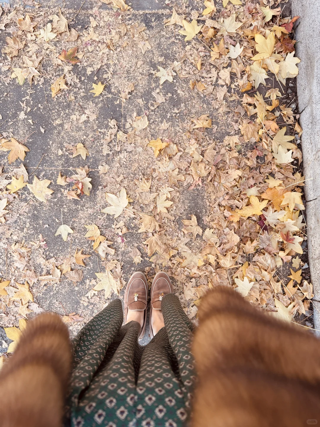 LA的冬天不太冷～